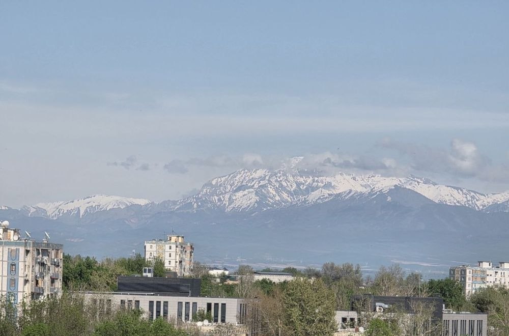 For sale 3-room apartment, 91 m² · Silkway · Mirzo-Ulugbek — photo 9