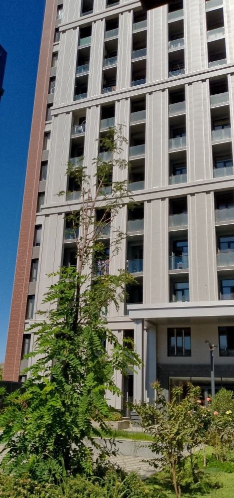 Продаётся 2-комн. квартира, 54 м² · ЖК Brooklyn · Мирзо-Улугбек — фото 4