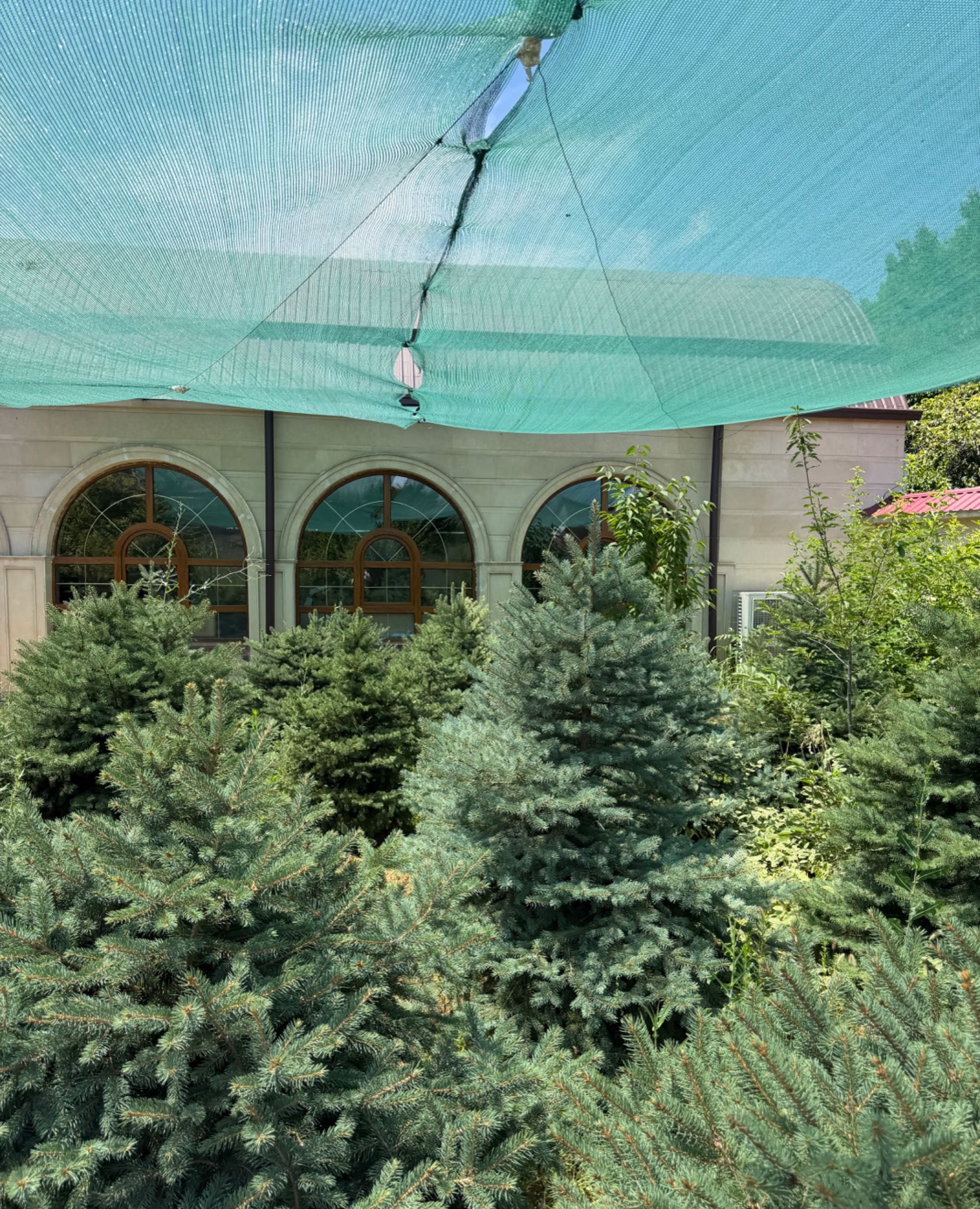 Продаётся 10-комн. дом, 300 м² · Алмазар — фото 4