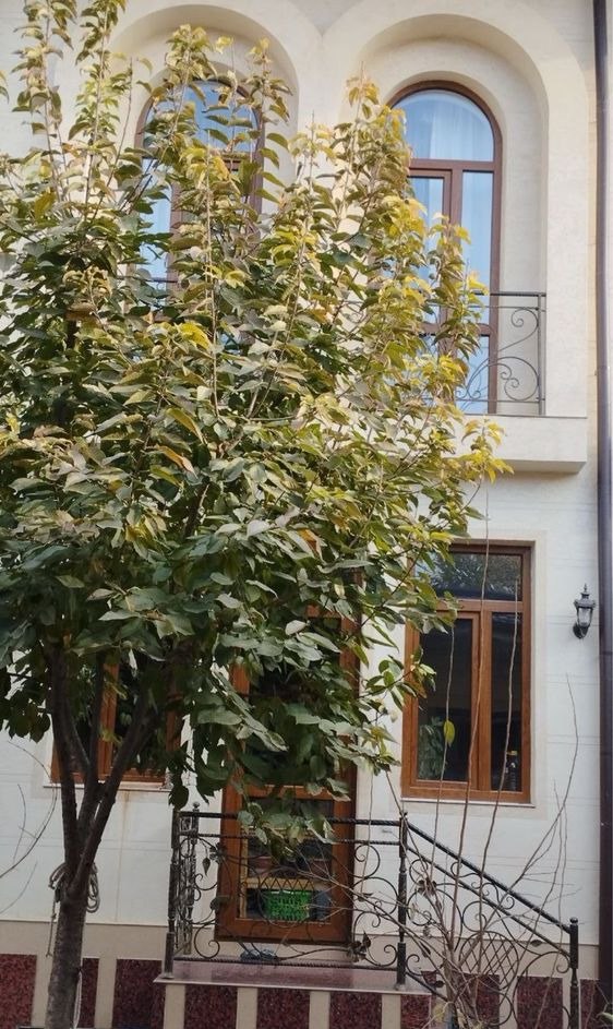 Продаётся 9-комн. дом, 370 м² · Шайхантахур — фото 6