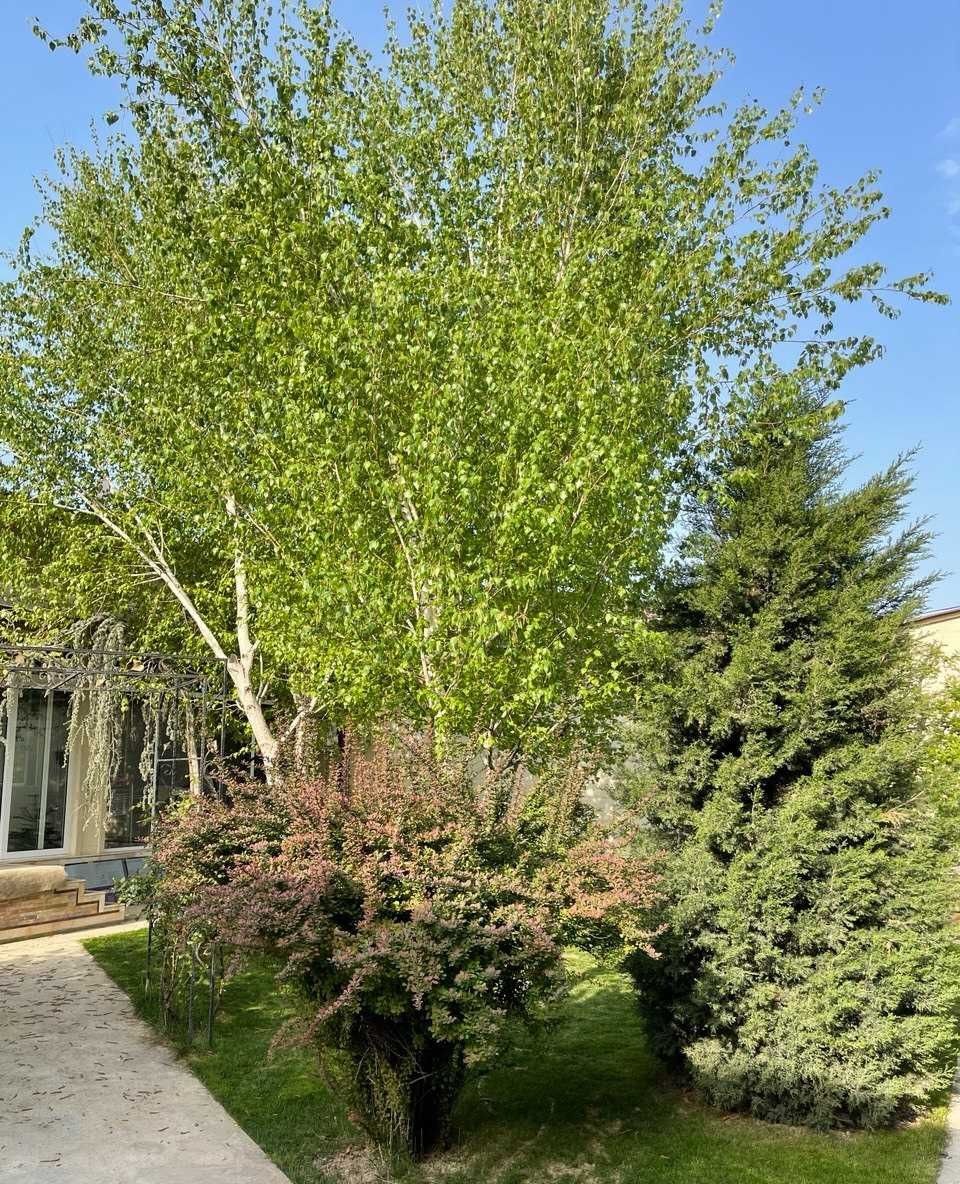 For sale 5-room house, 200 m² · Mirzo-Ulugbek — photo 8