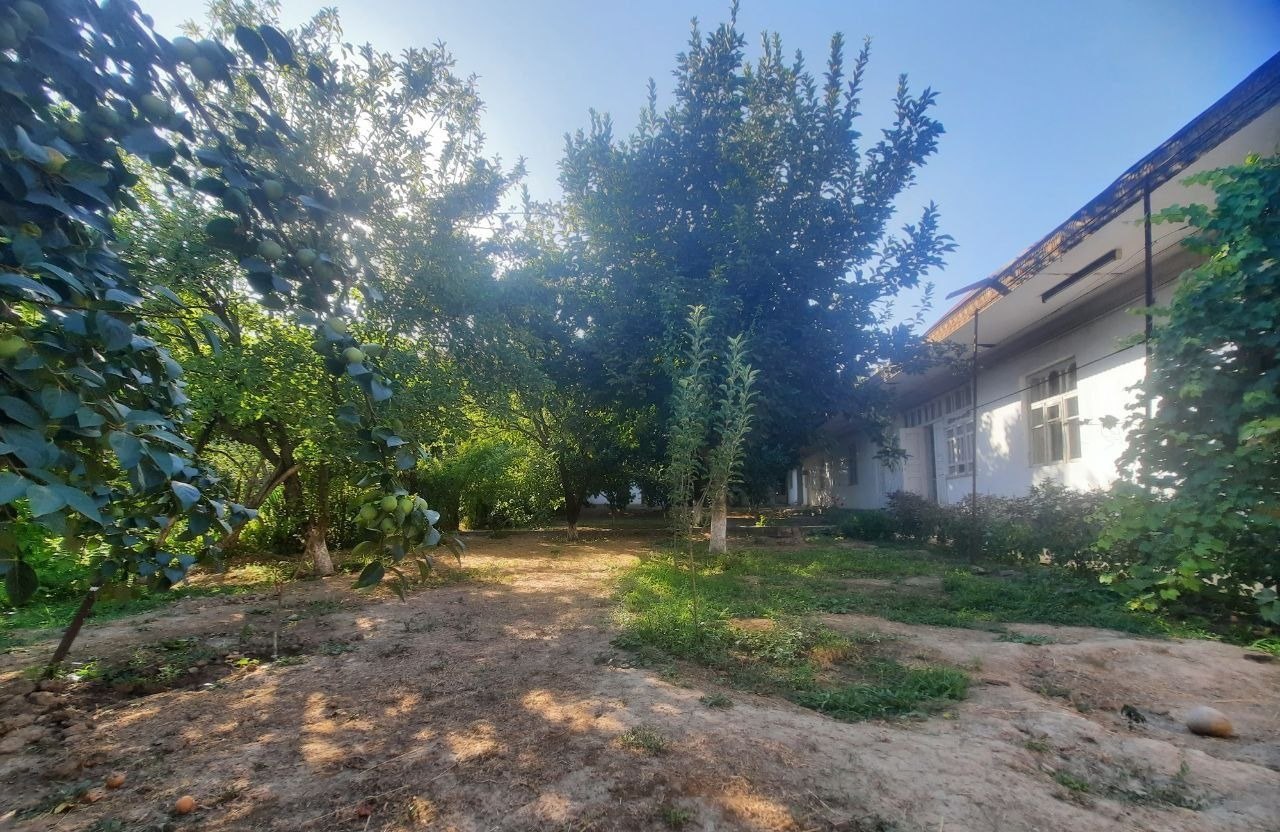 Sotiladi 9 xonali hovli · Mirzo Ulug‘bek — surat 3