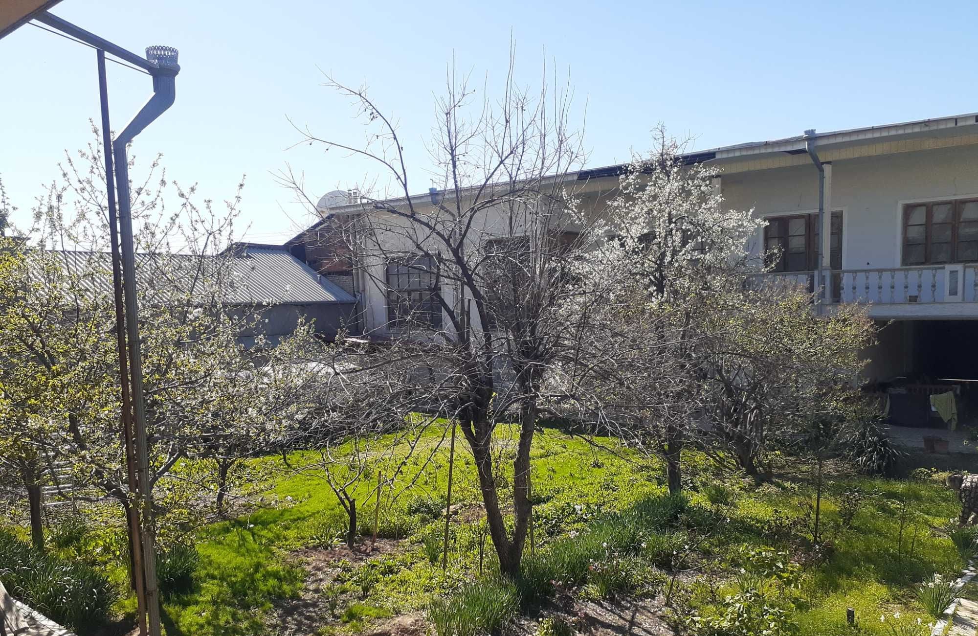 For sale 29-room house · Yunusabad — photo 1