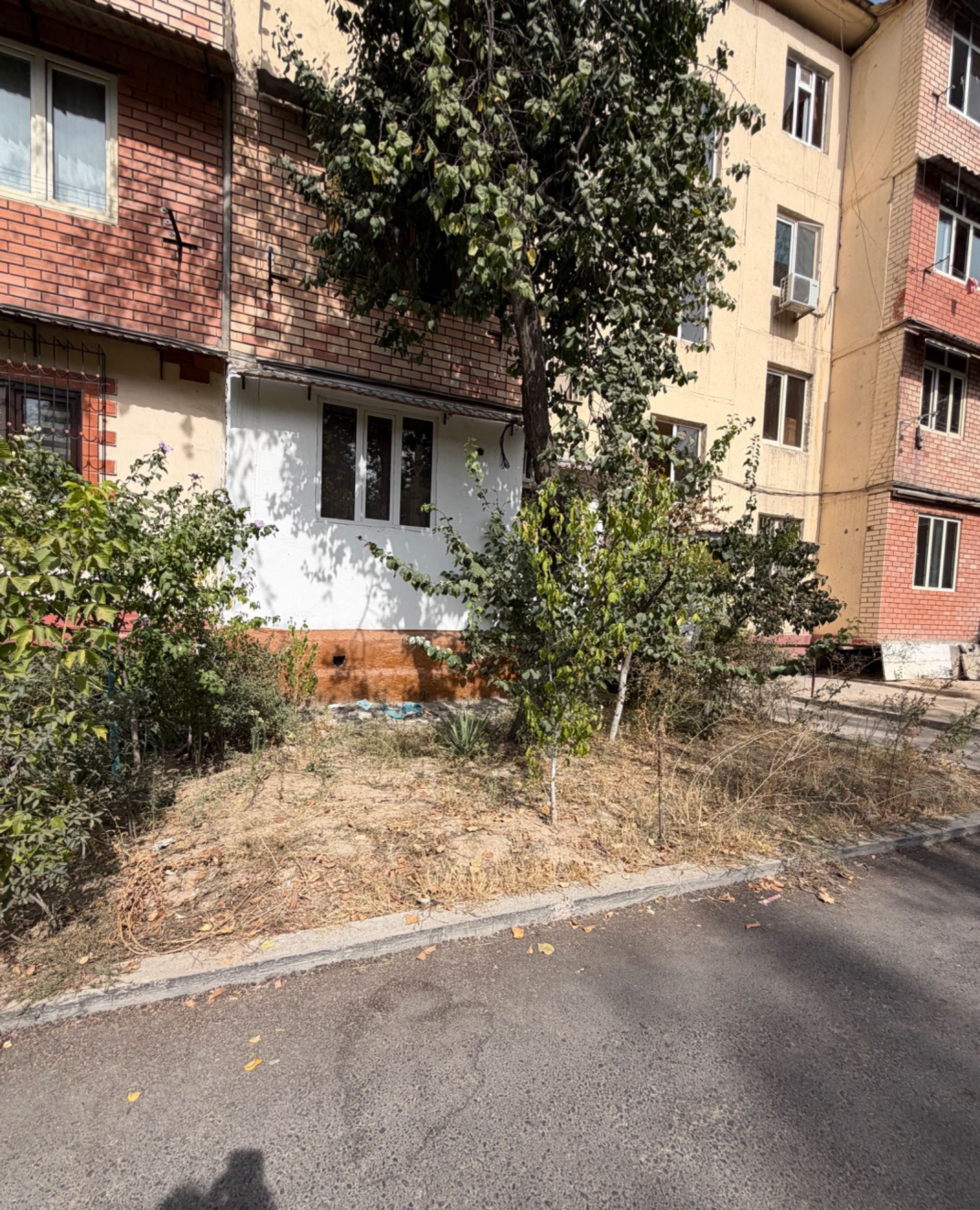 For rent 2-room apartment, 54 m² · Chilanzar — photo 4