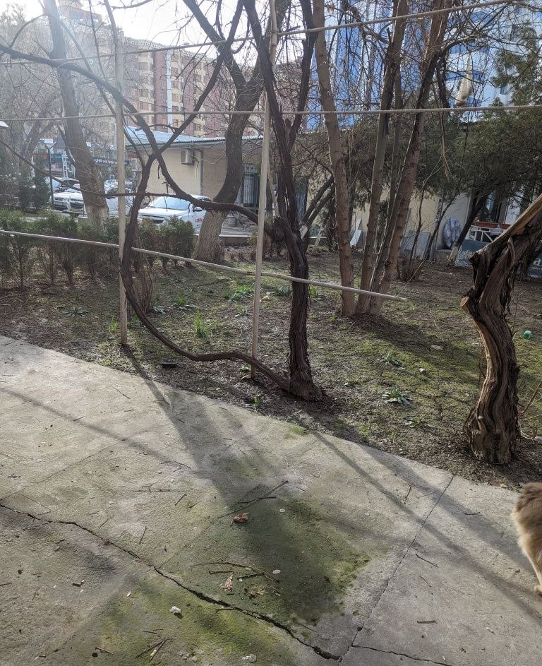 Ijaraga 3 xonali xonadon, 100 m² · Yunusobod — surat 2