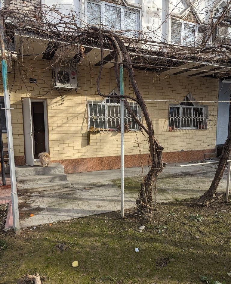 Ijaraga 3 xonali xonadon, 100 m² · Yunusobod — surat 1