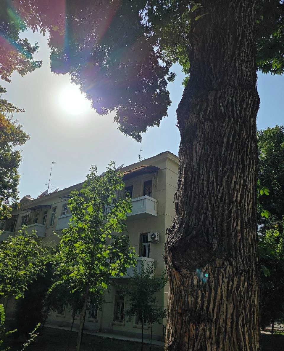 For rent 2-room apartment, 50 m² · Mirzo-Ulugbek — photo 10