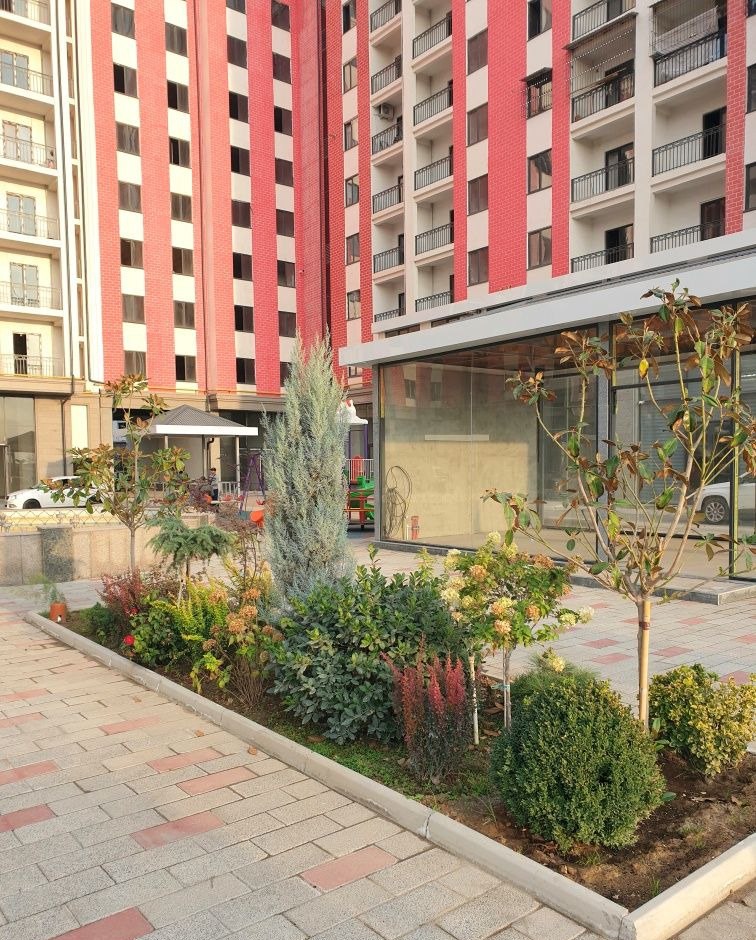 Sotiladi 3 xonali xonadon, 68 m² · Mirzo Ulug‘bek — surat 7