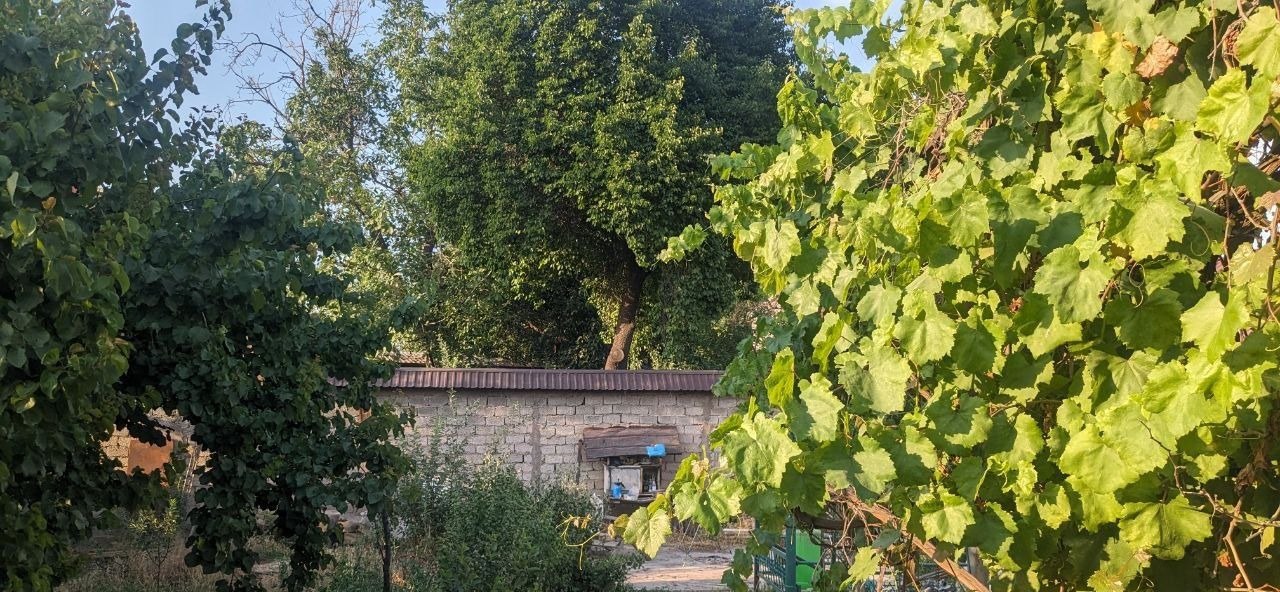 For sale 3-room house, 61 m² · Mirzo-Ulugbek — photo 6