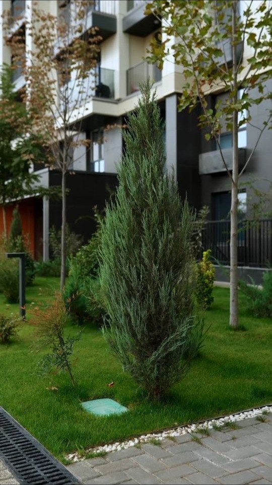 Сдаётся 1-комн. квартира, 45 м² · Учтепа — фото 7