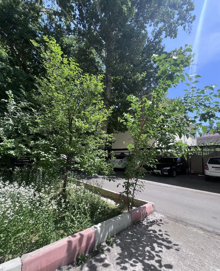 Продаётся 3-комн. квартира, 79.32 м² · Мирабад — фото 5