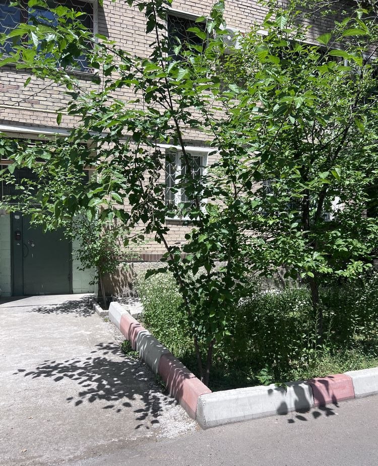 Продаётся 3-комн. квартира, 79.32 м² · Мирабад — фото 7