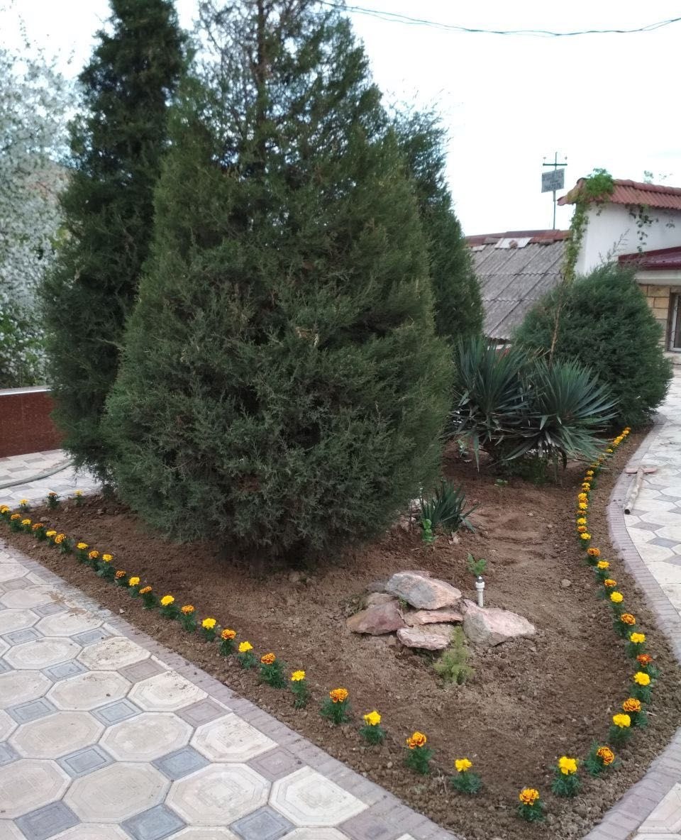 Sotiladi 8 xonali hovli, 340 m² · Mirzo Ulug‘bek — surat 4