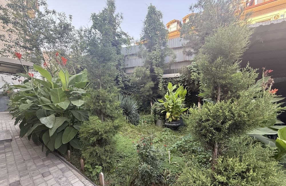 Sotiladi 2 xonali xonadon, 54 m² · Olmazor — surat 3