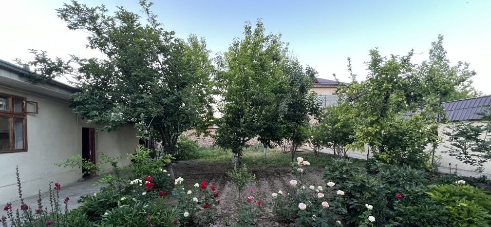 Sotiladi 4 xonali hovli, 82.96 m² · Mirzo Ulug‘bek — surat 3