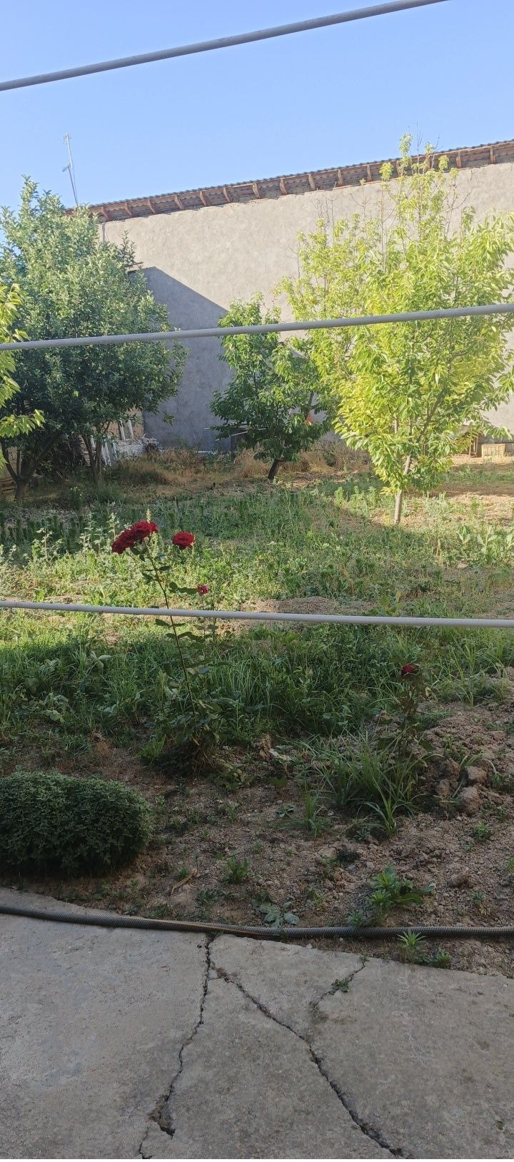 For sale 7-room house · Mirzo-Ulugbek — photo 3