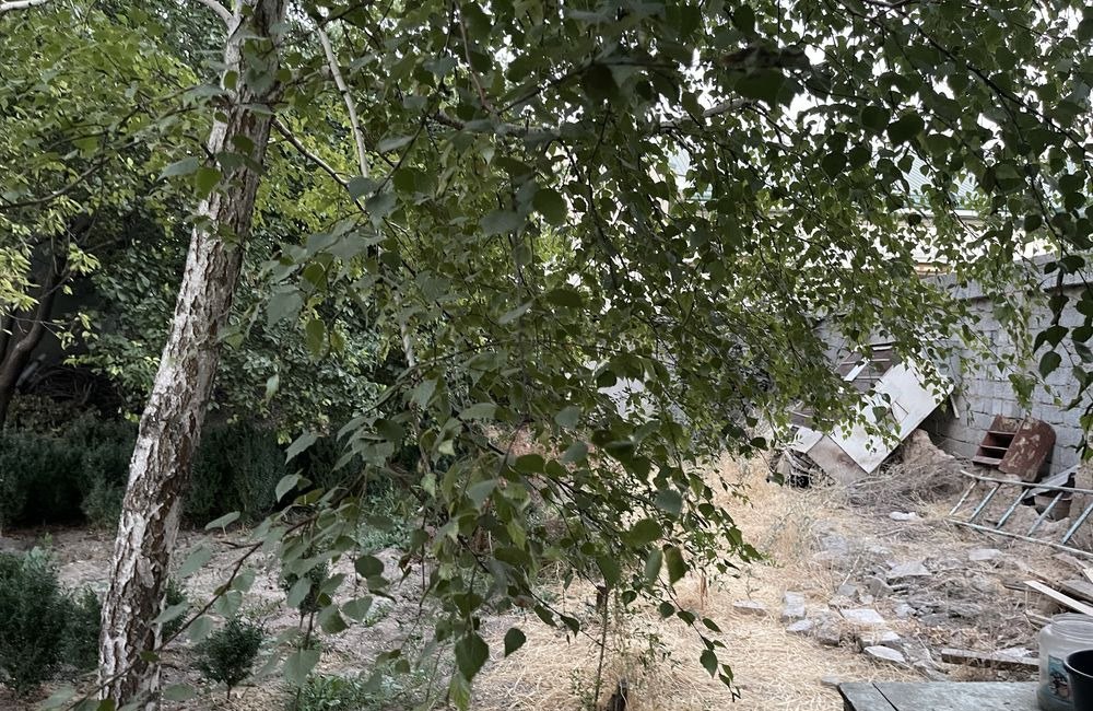 For sale 5-room house · Yunusabad — photo 5