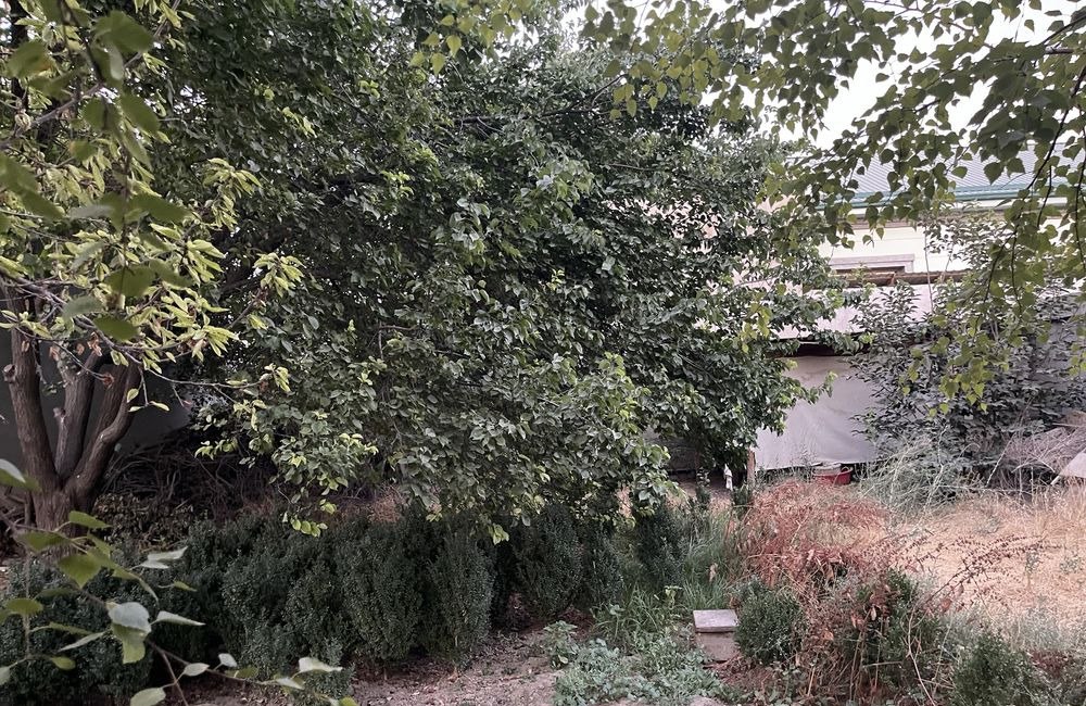For sale 5-room house · Yunusabad — photo 2