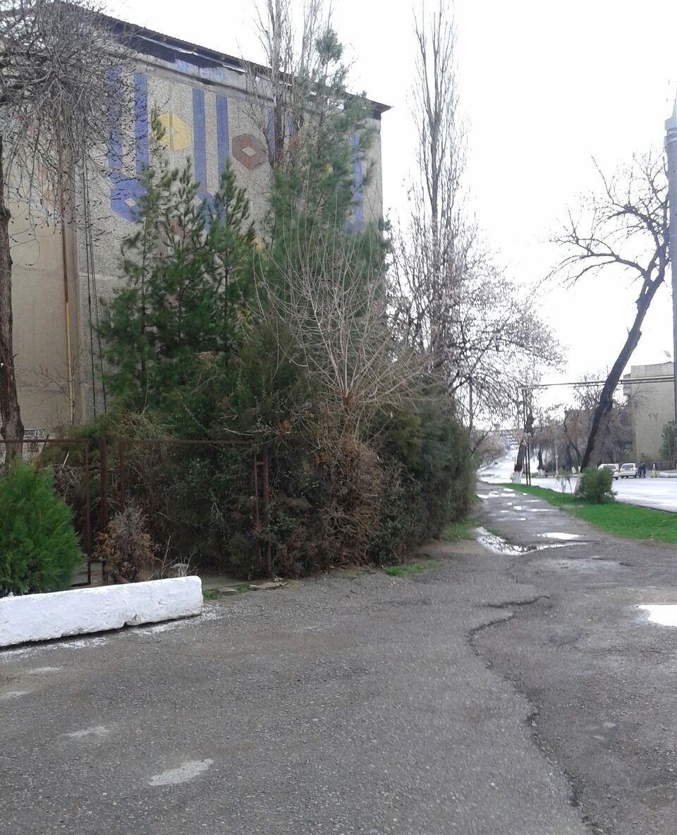 Продаётся коммерческое помещение, 83 м² · Шайхантахур — фото 4
