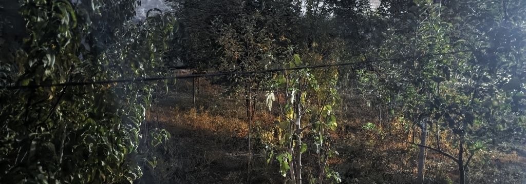 For sale 6-room house, 193 m² · Yakkasaray — photo 2