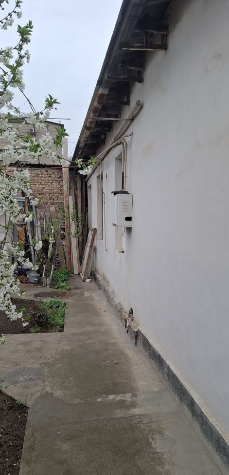 Sotiladi 4 xonali hovli, 120 m² · Mirzo Ulug‘bek — surat 4