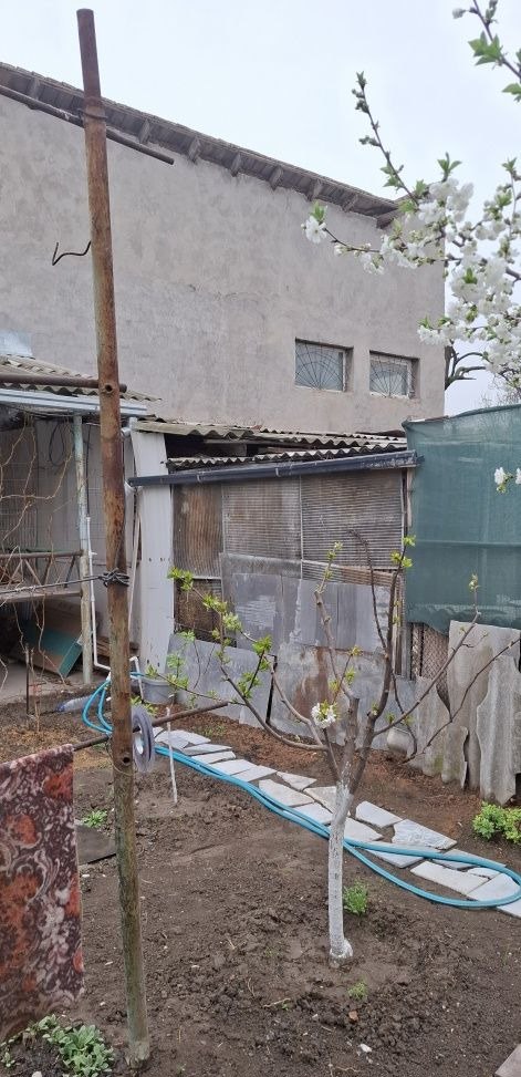 Sotiladi 4 xonali hovli, 120 m² · Mirzo Ulug‘bek — surat 7