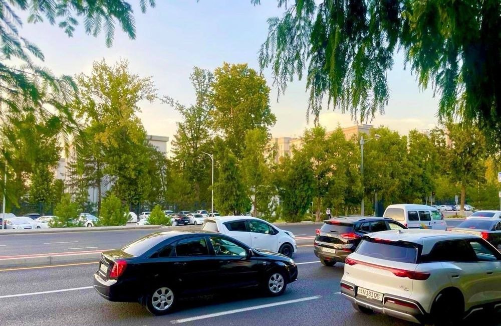 Sotiladi 14 xonali hovli, 500 m² · Yunusobod — surat 3