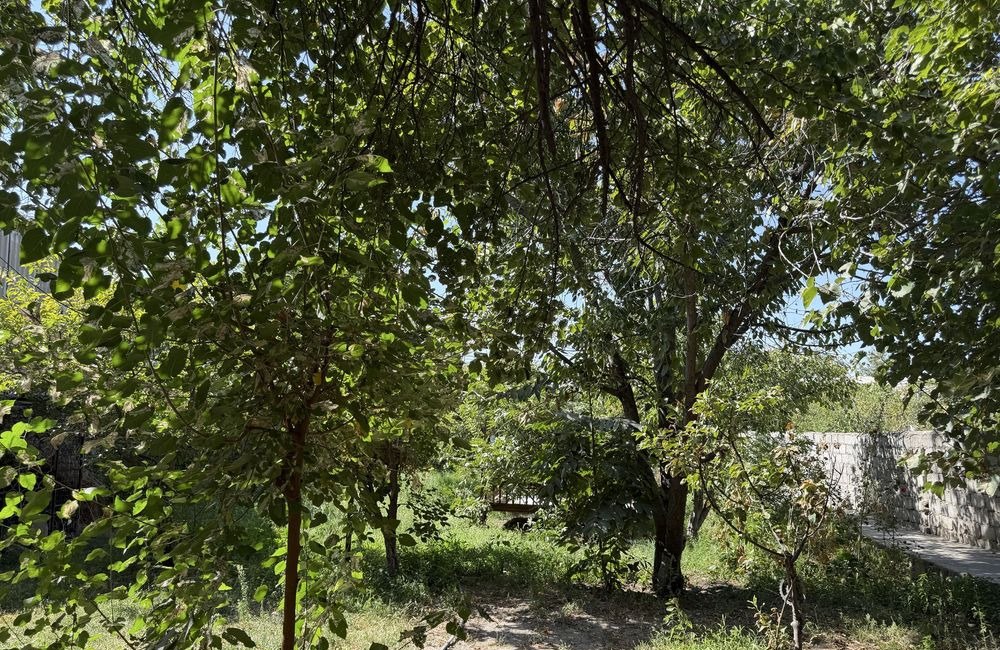 Sotiladi 5 xonali hovli, 1 m² · Olmazor — surat 6
