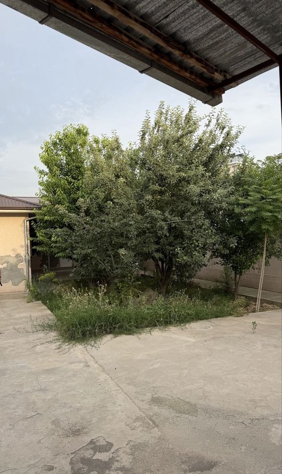 Sotiladi 8 xonali hovli, 30 m² · Uchtepa — surat 2