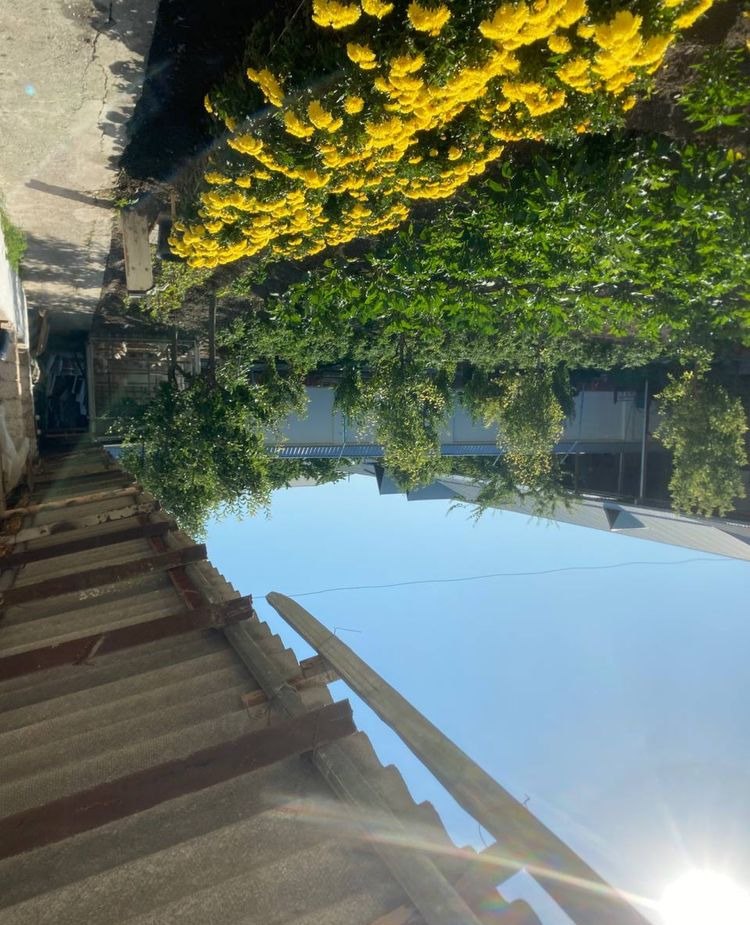For sale undefined · Yashnabad — photo 2