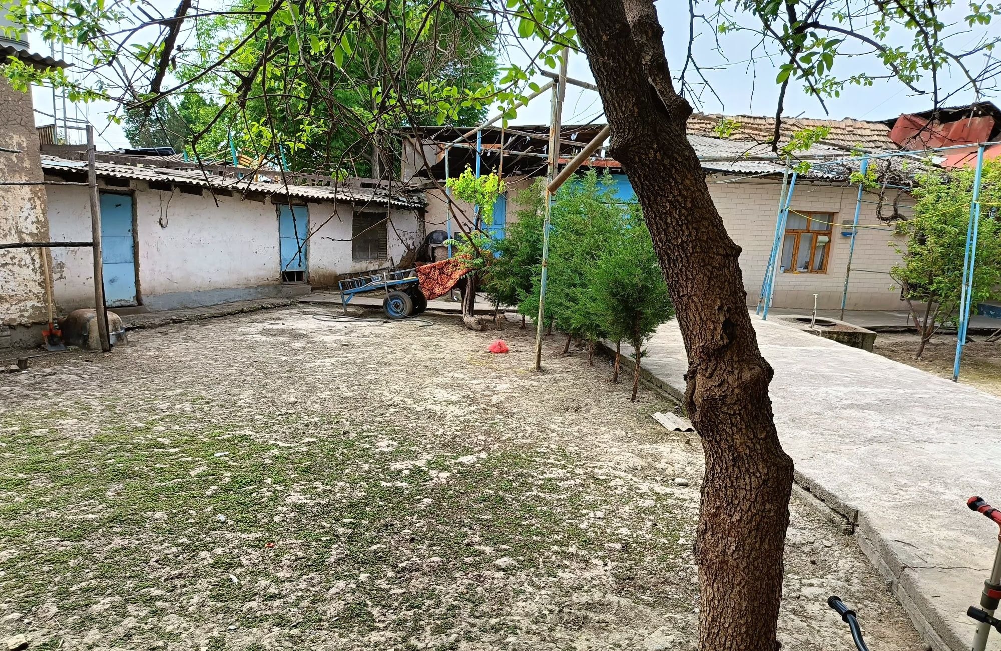 Sotiladi 11 xonali hovli · Mirzo Ulug‘bek — surat 2