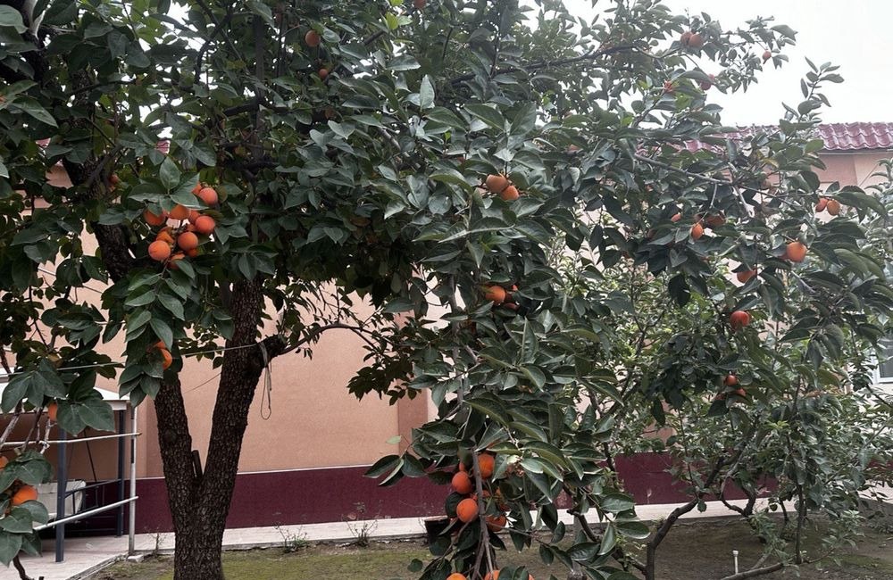 For sale 14-room house · Yunusabad — photo 5