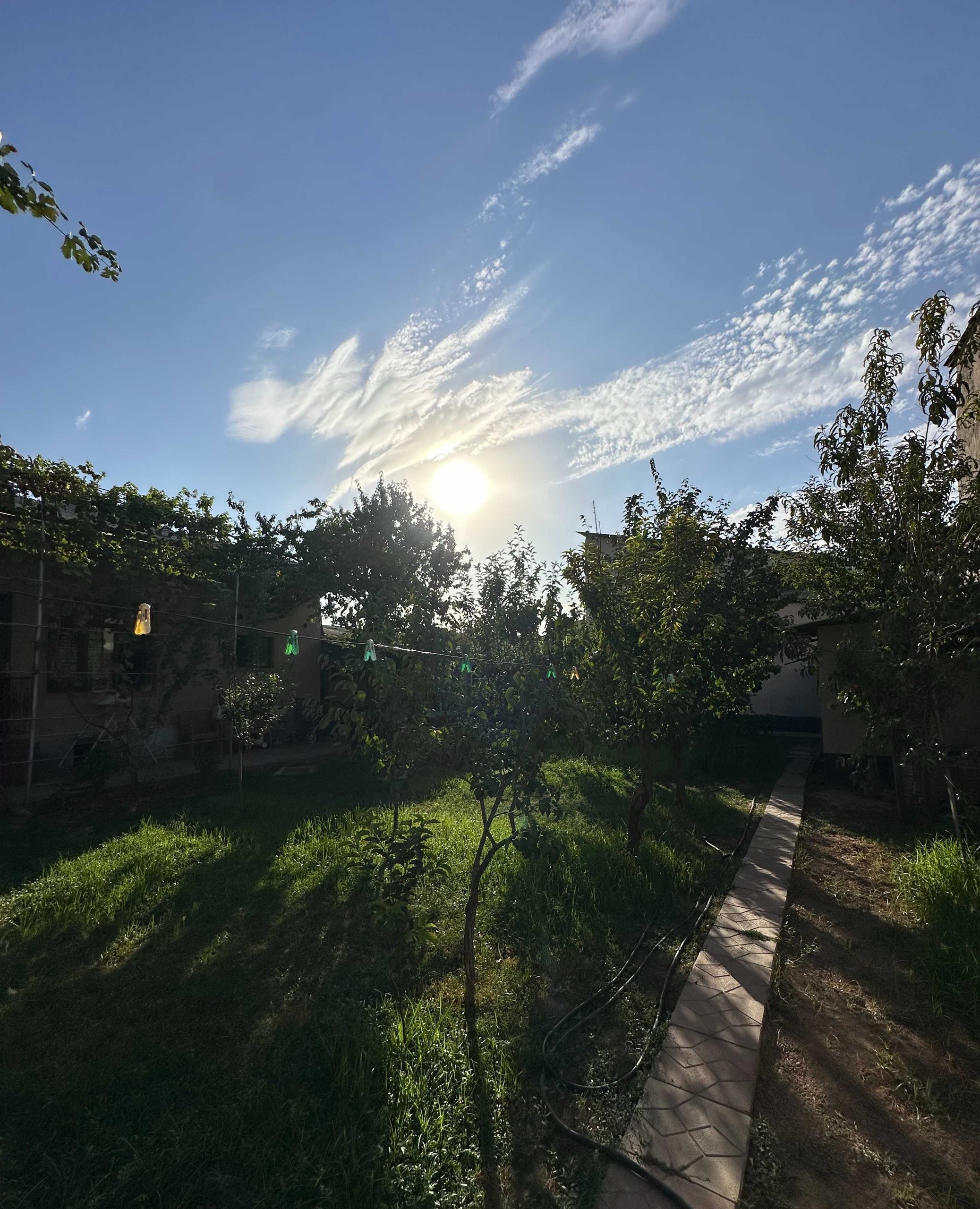 Sotiladi 7 xonali hovli · Yunusobod — surat 9
