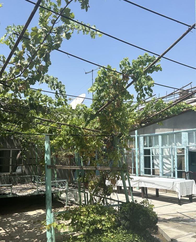 For sale 8-room house · Mirzo-Ulugbek — photo 3