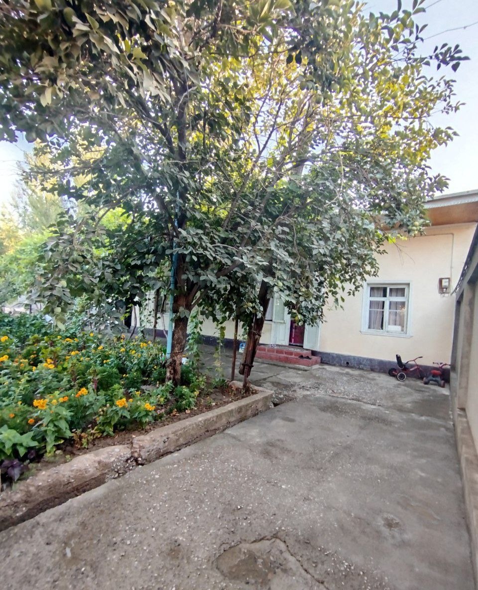 Sotiladi 9 xonali hovli · Mirzo Ulug‘bek — surat 3