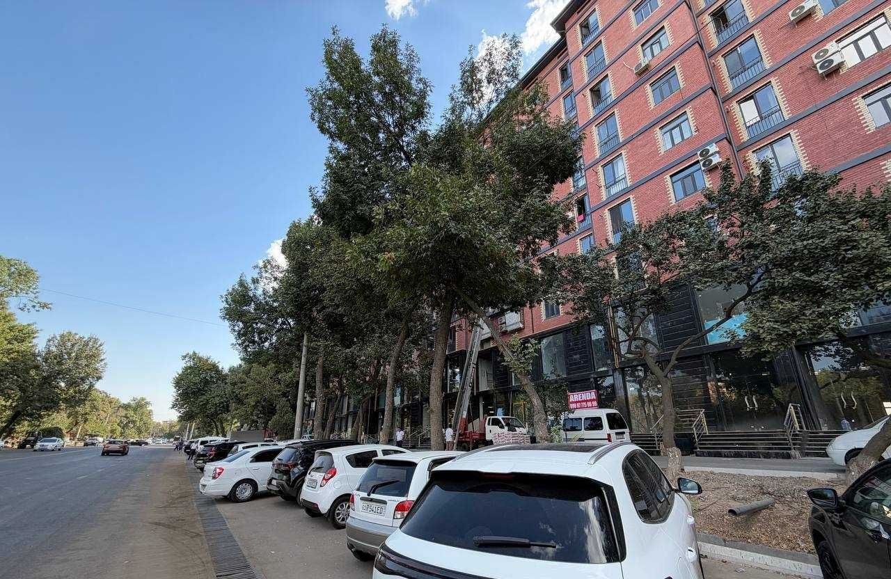 Сдаётся коммерческое помещение, 88 м² · ЖК Uchtepaavenue · Учтепа — фото 5