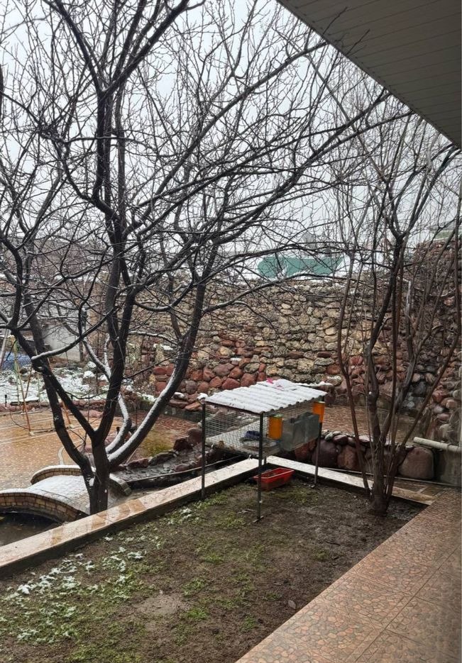 For sale 14-room house · Mirzo-Ulugbek — photo 4