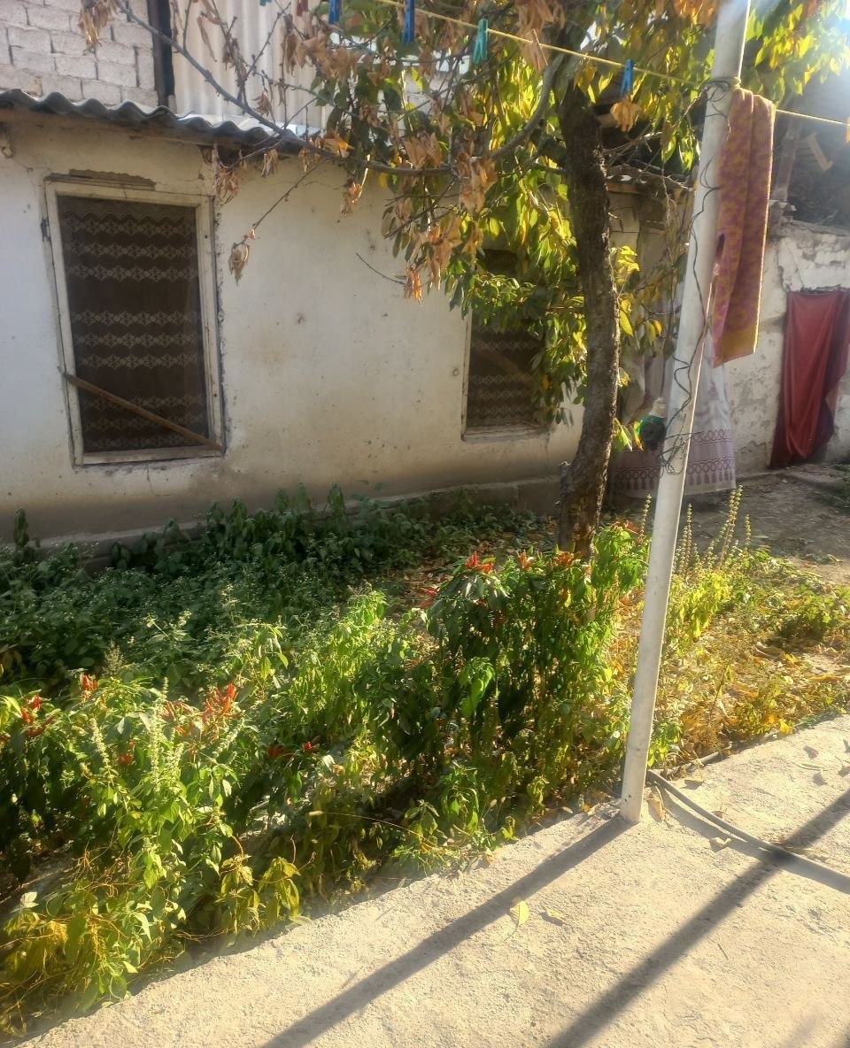 For sale 7-room house · Mirzo-Ulugbek — photo 5