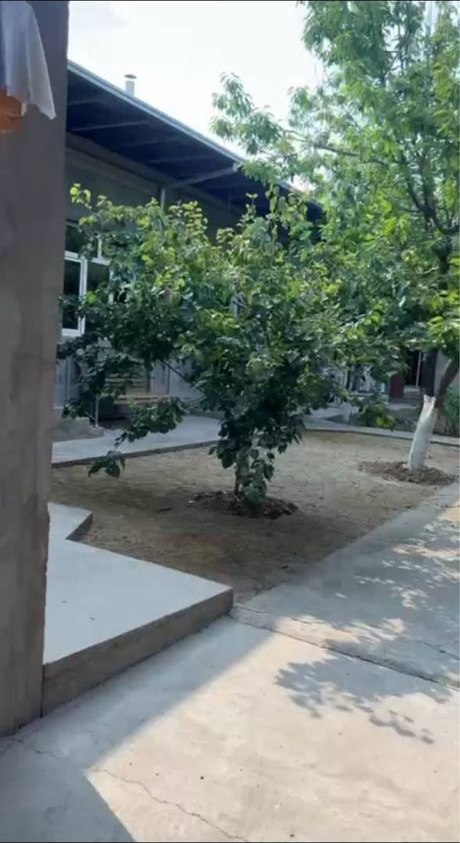 Sotiladi 10 xonali hovli · Olmazor — surat 7