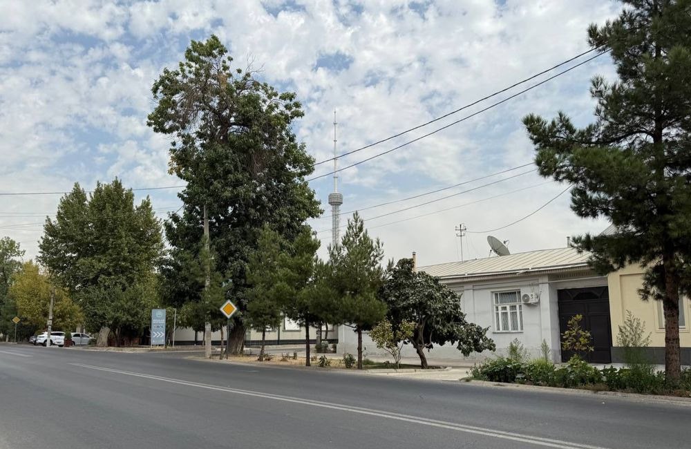 For sale 9-room house · Yunusabad — photo 2