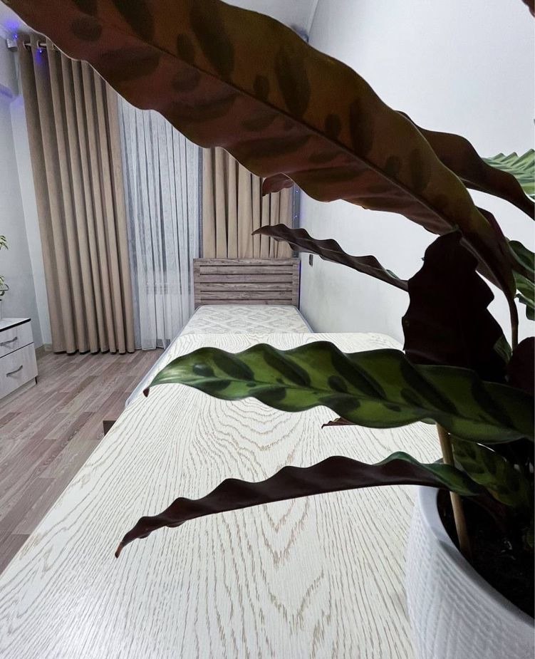 Продаётся 3-комн. квартира, 72 м² · Алмазар — фото 4