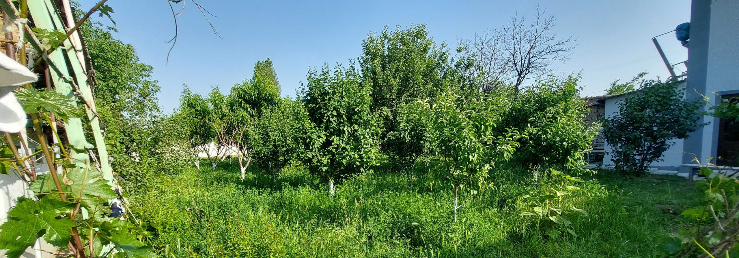Продаётся 7-комн. дом, 200 м² · Мирзо-Улугбек — фото 4