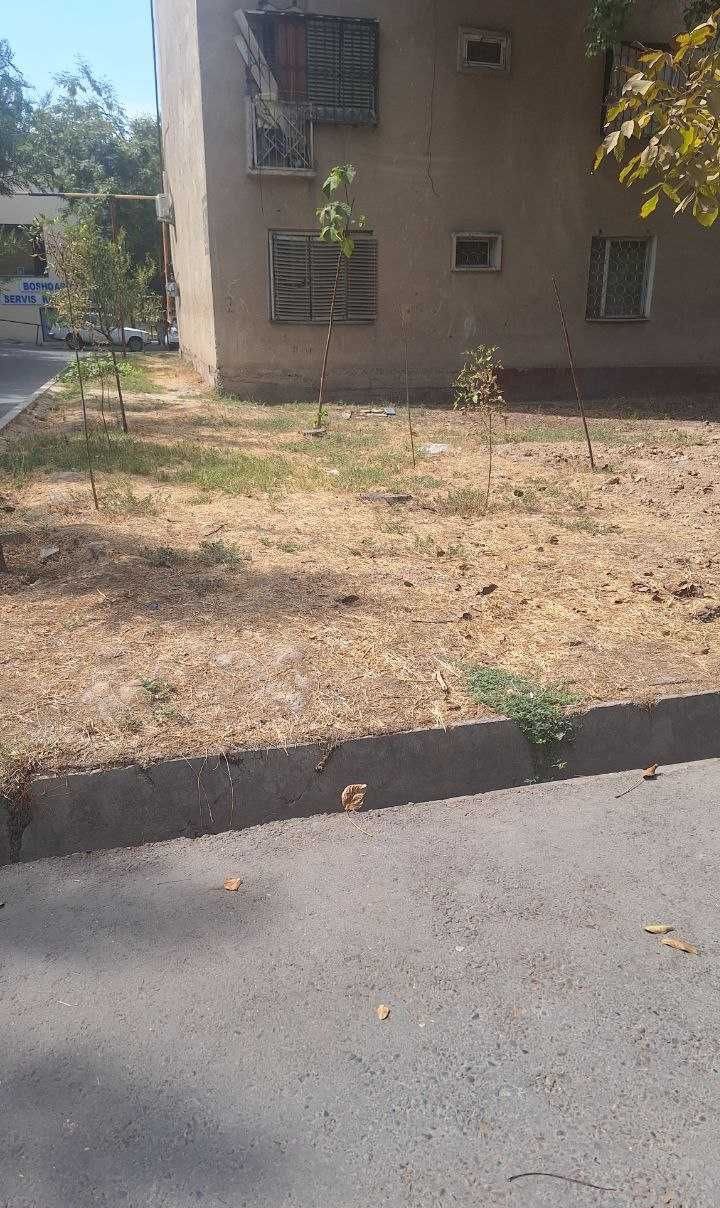 Sotiladi tijorat binosi, 57 m² · Chilonzor — surat 5