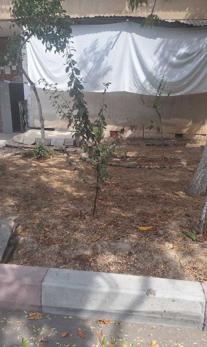 Sotiladi tijorat binosi, 57 m² · Chilonzor — surat 3