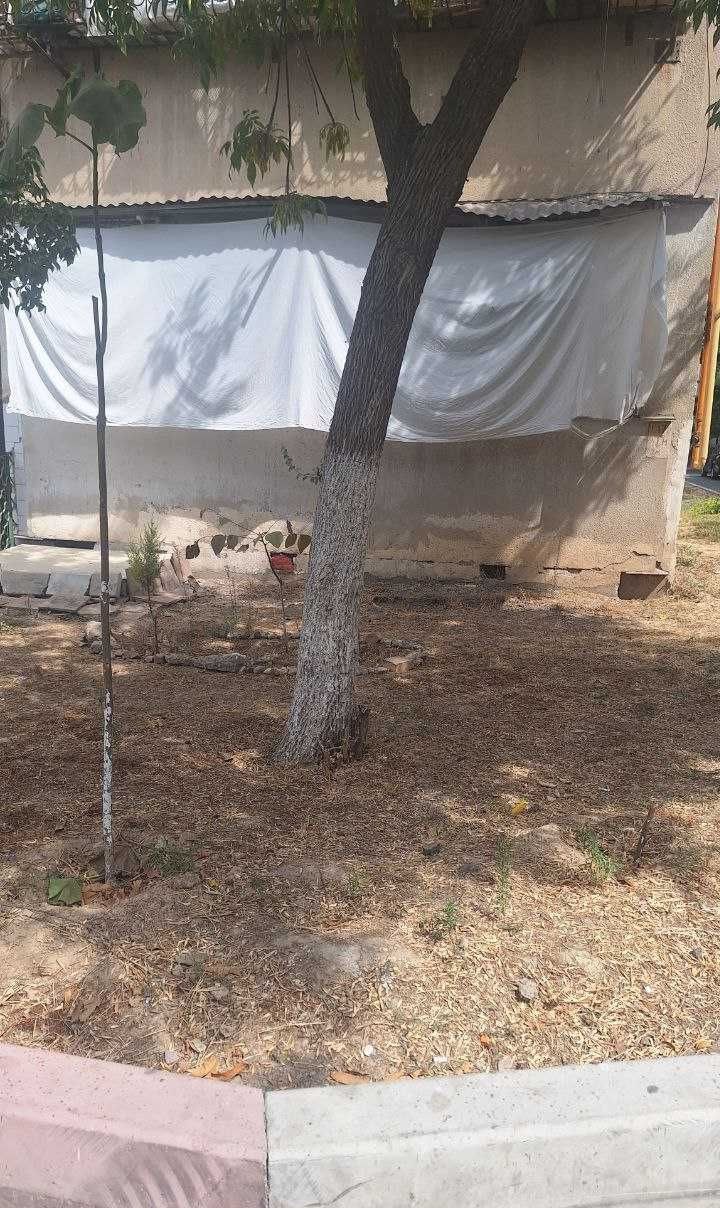Sotiladi tijorat binosi, 57 m² · Chilonzor — surat 2