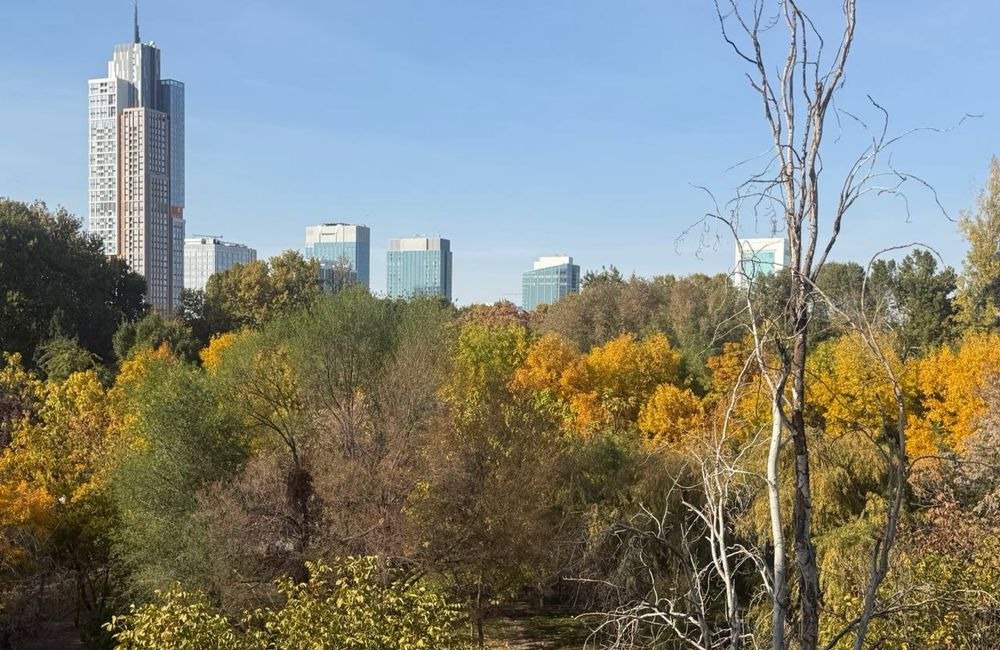 Ijaraga 3 xonali xonadon, 120 m² · Tashkent City · Shayxontohur — surat 5